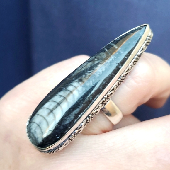 New Oversized Orthoceras Fossil 925 Silver Statement Ring. - Picture 2 of 16
